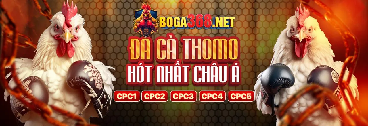 Tin tức Thomo mới nhất và trực tiếp Thomo hôm nay