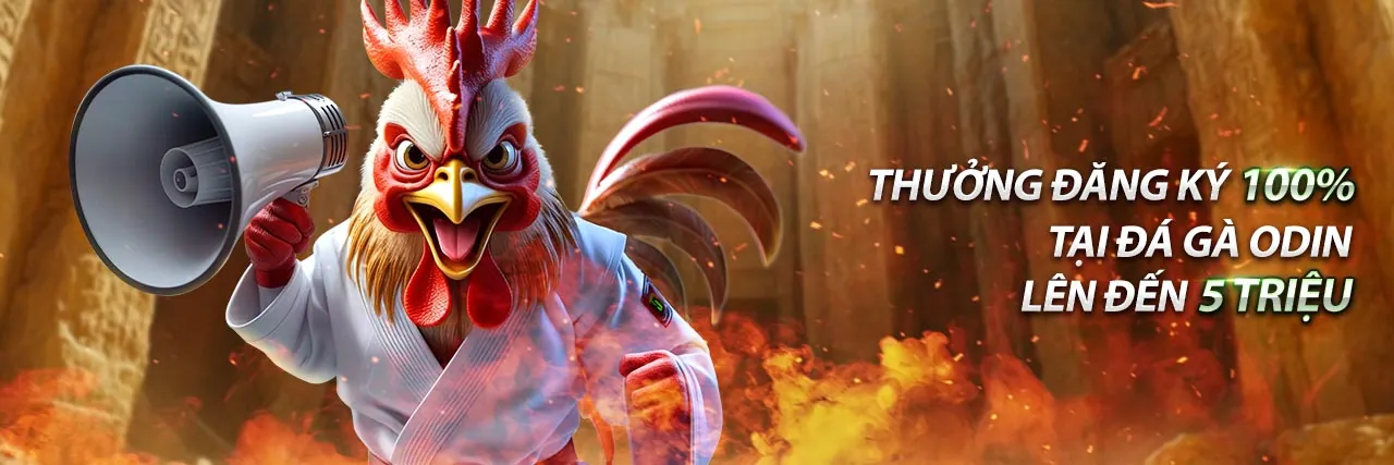 Sân đấu đá gà Thomo trực tiếp hôm nay với không khí sôi động và khán giả cổ vũ nồng nhiệt.